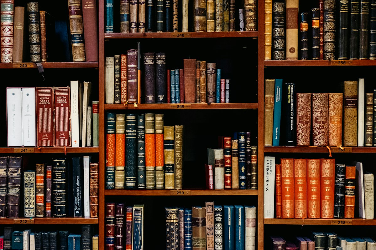 The Role of a Well-Stocked School Library in Academic Excellence
